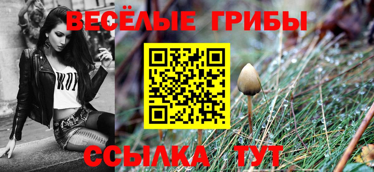 Псилоцибиновые грибы мицелий Севастополь