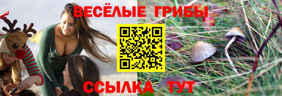 магазин    Псилоцибиновые грибы прущие грибы  Псилоцибиновые грибы прущие грибы  Вход с VPN  Севастополь 